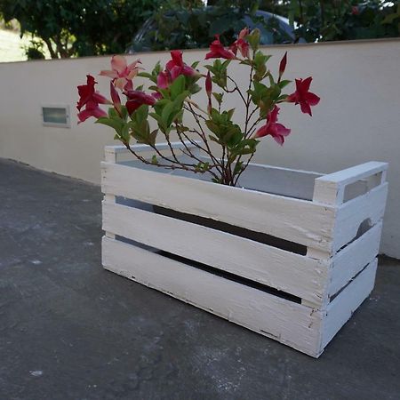Aurora Home Alcamo Marina Exterior foto