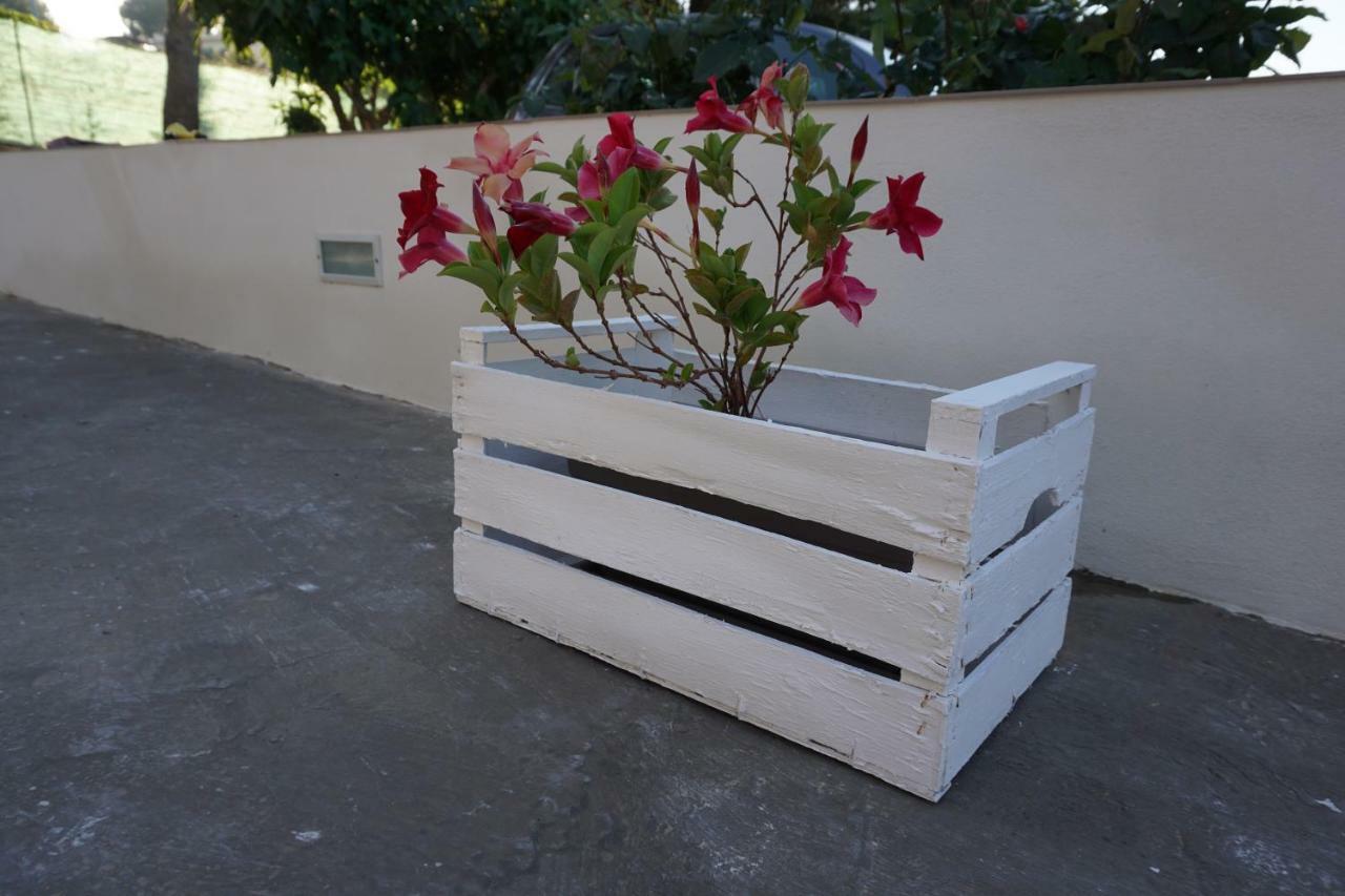 Aurora Home Alcamo Marina Exterior foto